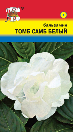 Бальзамин Том Самб Белый 0,2г УУ