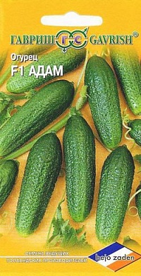 Огурец Адам F1, корнишон, Голландия, 5шт