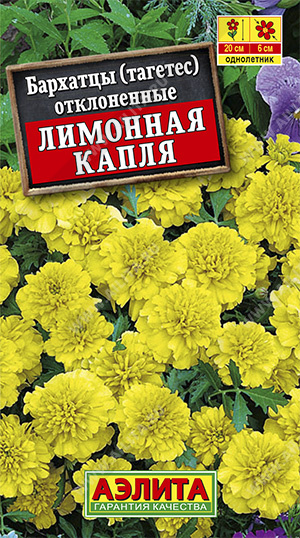 Бархатцы откл. Лимонная капля "Аэлита"