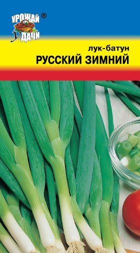Лук батун Русский зимний ц/п УУ