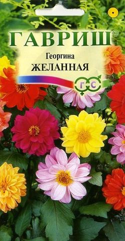 Георгина Желанная, смесь 0,5г