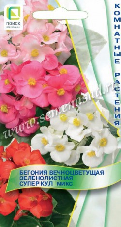 Бегония вечноцвет. Супер Кул Микс 10шт "Поиск"