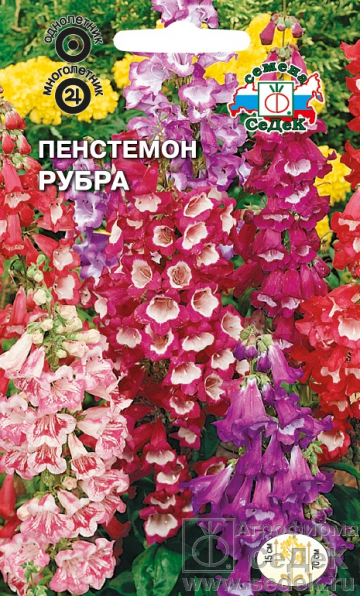 Пенстемон Рубра Кассиопея 0,1г "Седек"