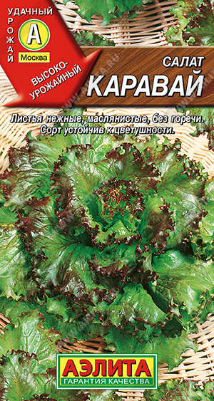 Салат Каравай листовой "Аэлита"