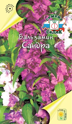 Бальзамин Сандра "Седек"