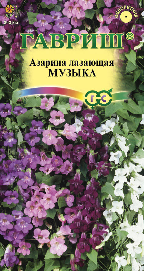 Азарина Музыка, моря 5шт