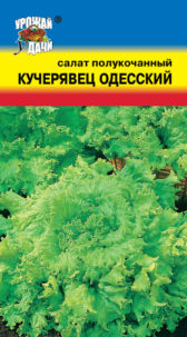 Салат Кучерявец Одесский  (ц/п) УУ