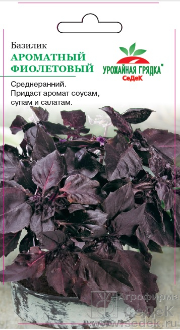 Базилик Фиолетовый  (б/п)