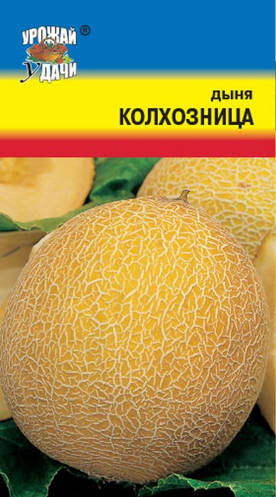 Дыня Колхозница "Аэлита"