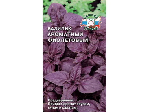 Базилик Фиолетовый крупнолистный "Аэлита"
