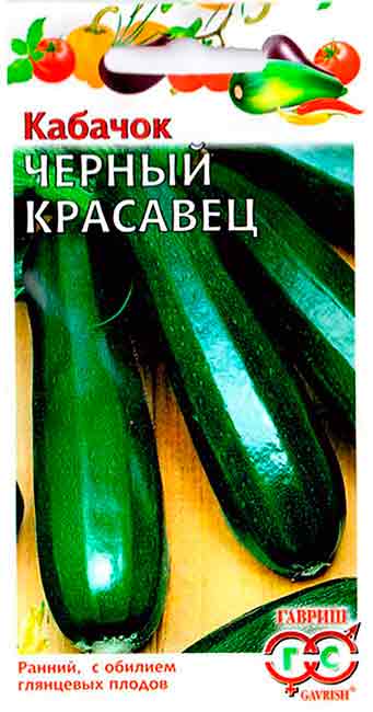 Кабачок Черный красавец "Аэлита"