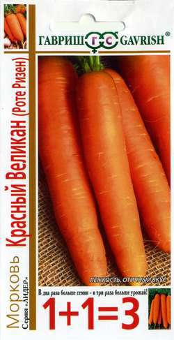 Морковь Леночка, автор., 2г 