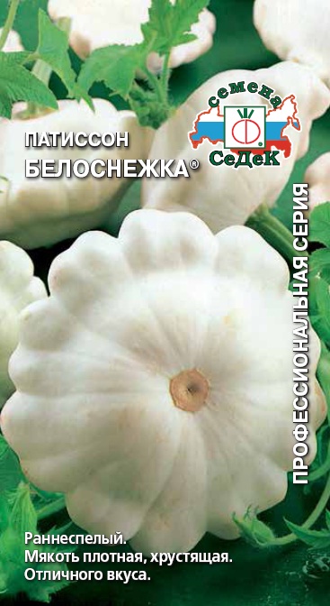 Патиссон Белоснежка "Седек"