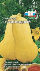 Кабачок Сержант цук. "Аэлита"